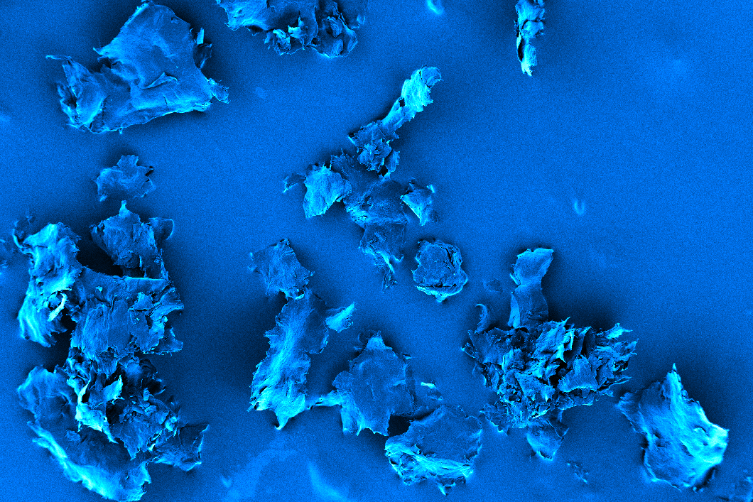 Nanoplastik unter dem Rasterelektronen-Mikroskop