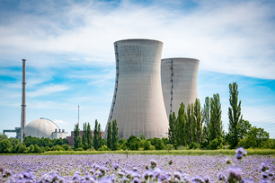 Blumenwiese und Kernkraftwerk