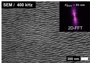 Sub-100 nm HSFL nanostructures on titanium alloy generated by ps-laser pulse repetition rates of 400 kHz.